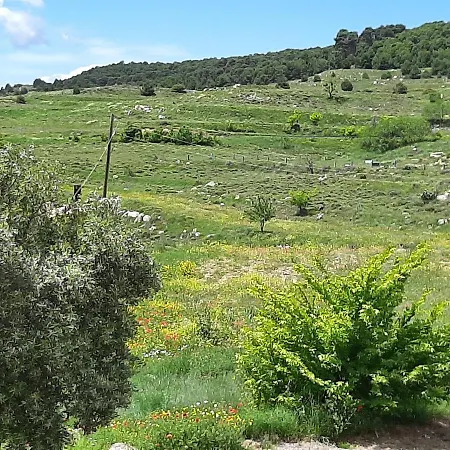 Garnacha De Guest