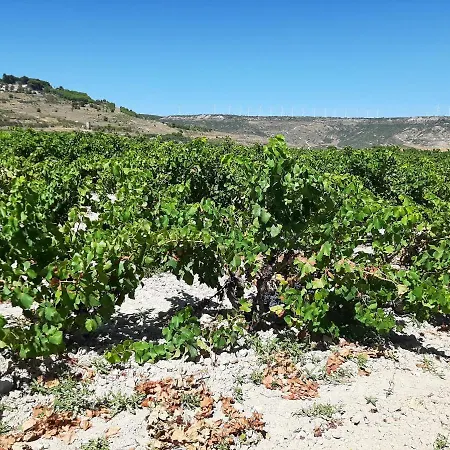 Garnacha De Guest